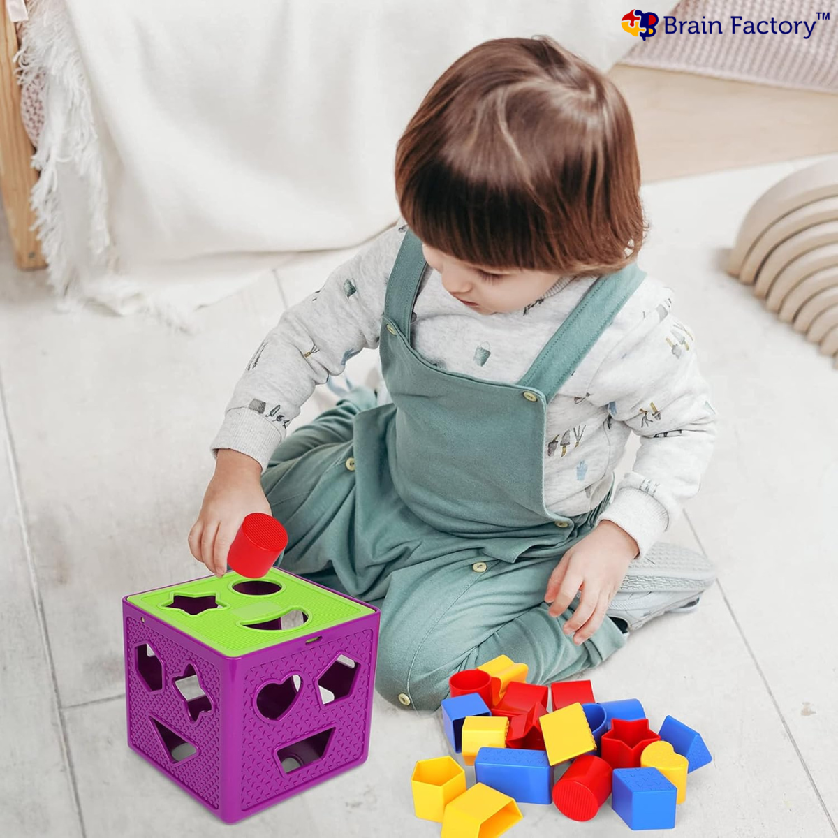 Best Shape Sorting Toy for Early Learning & Motor Skills